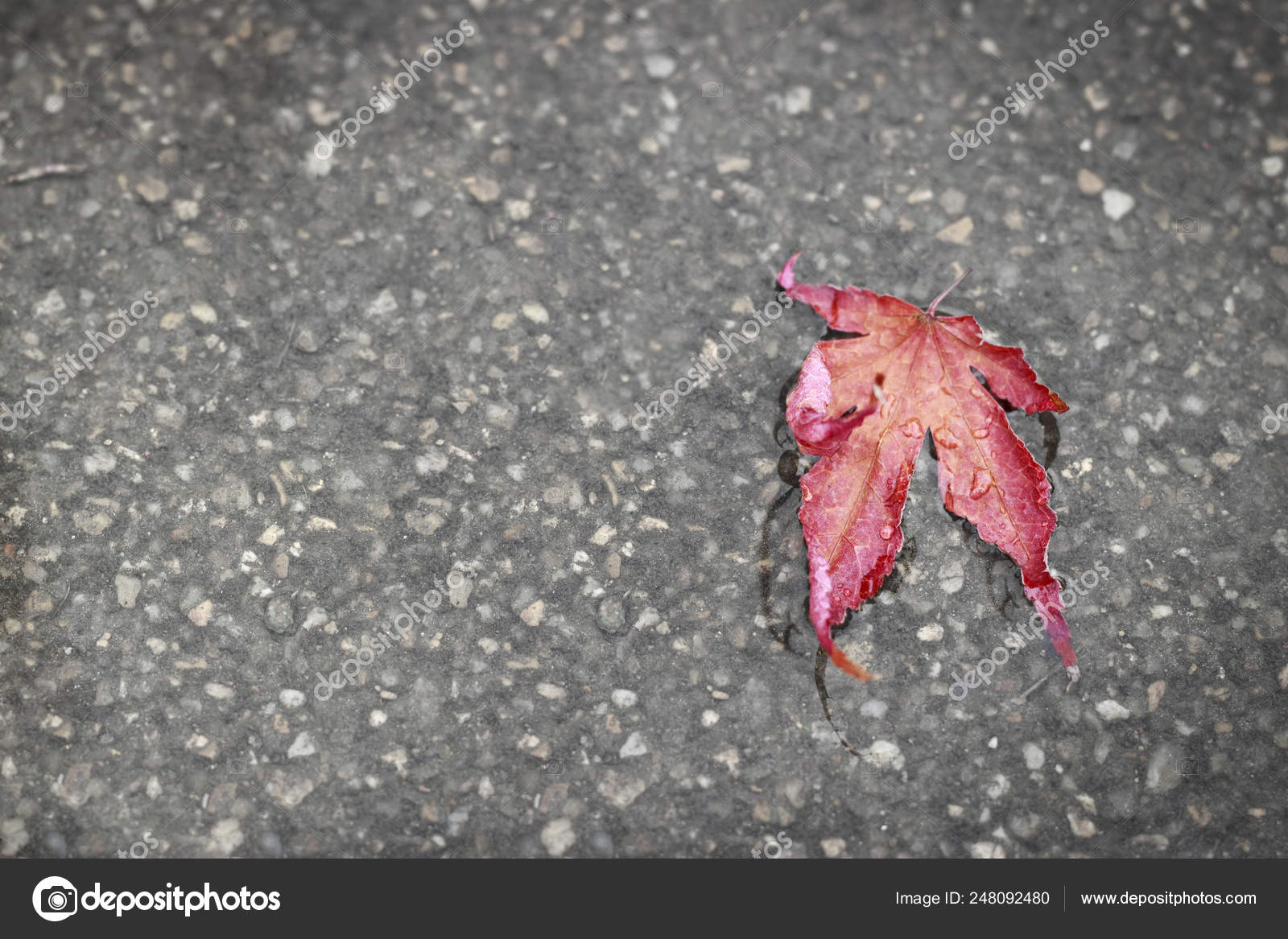Превыше крыш