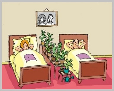 Нежность в злость - жены, как жало?