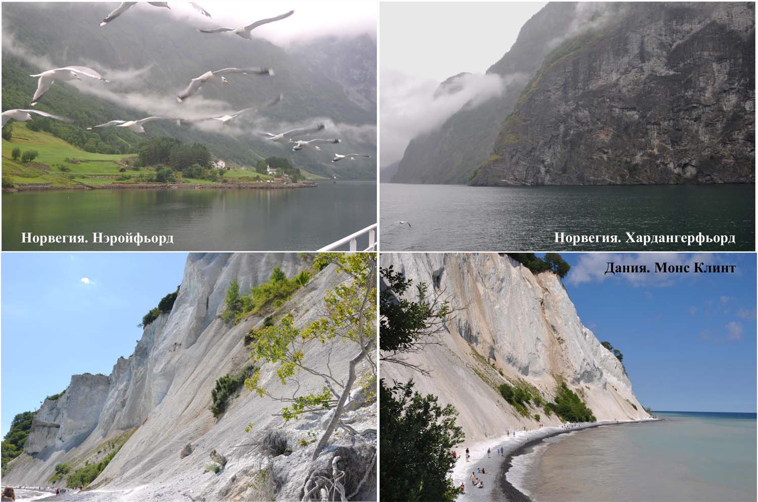 Места, где умолкают музы