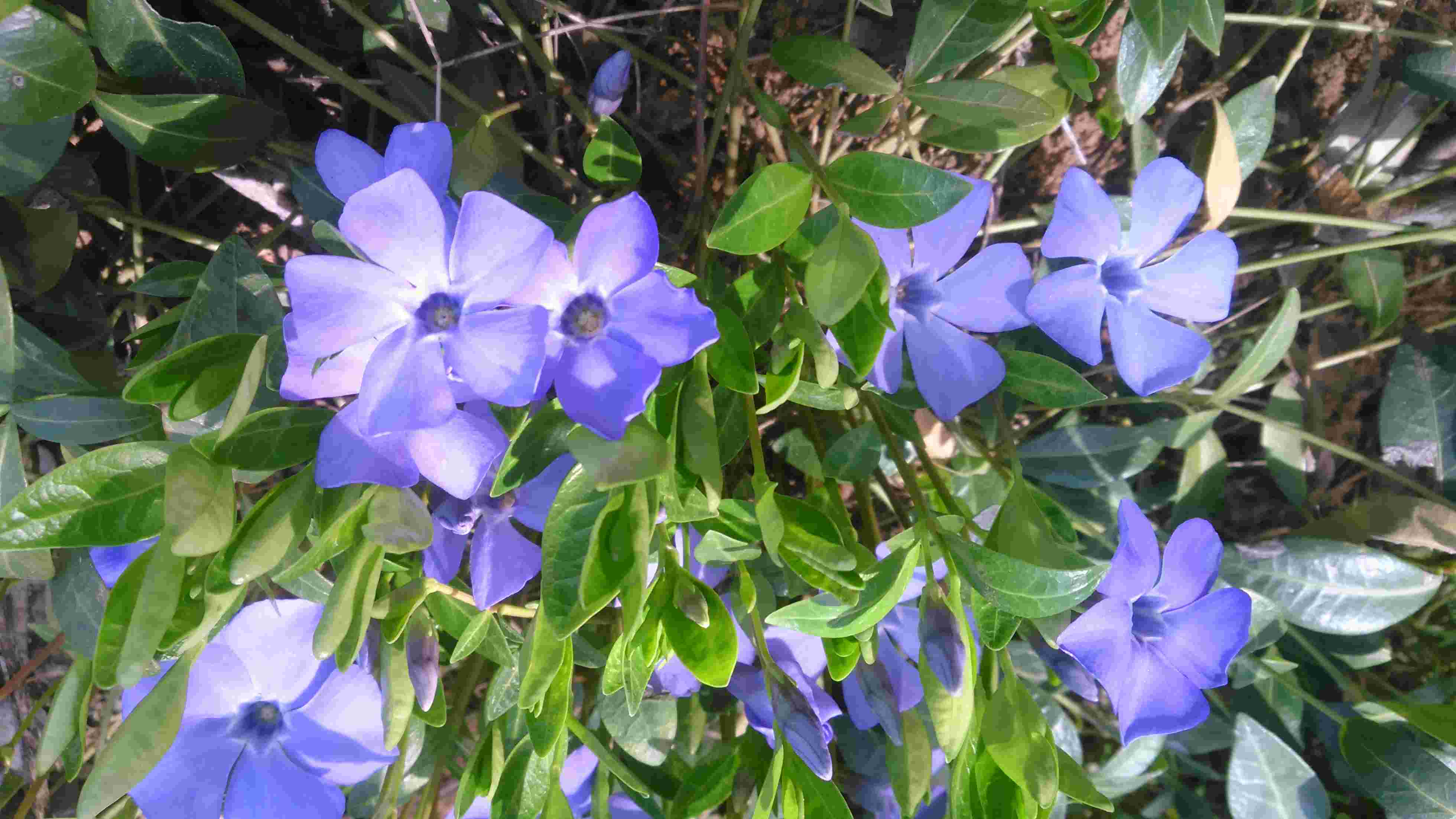 Всю жизнь рассказы о войне. Привычная жизнь...