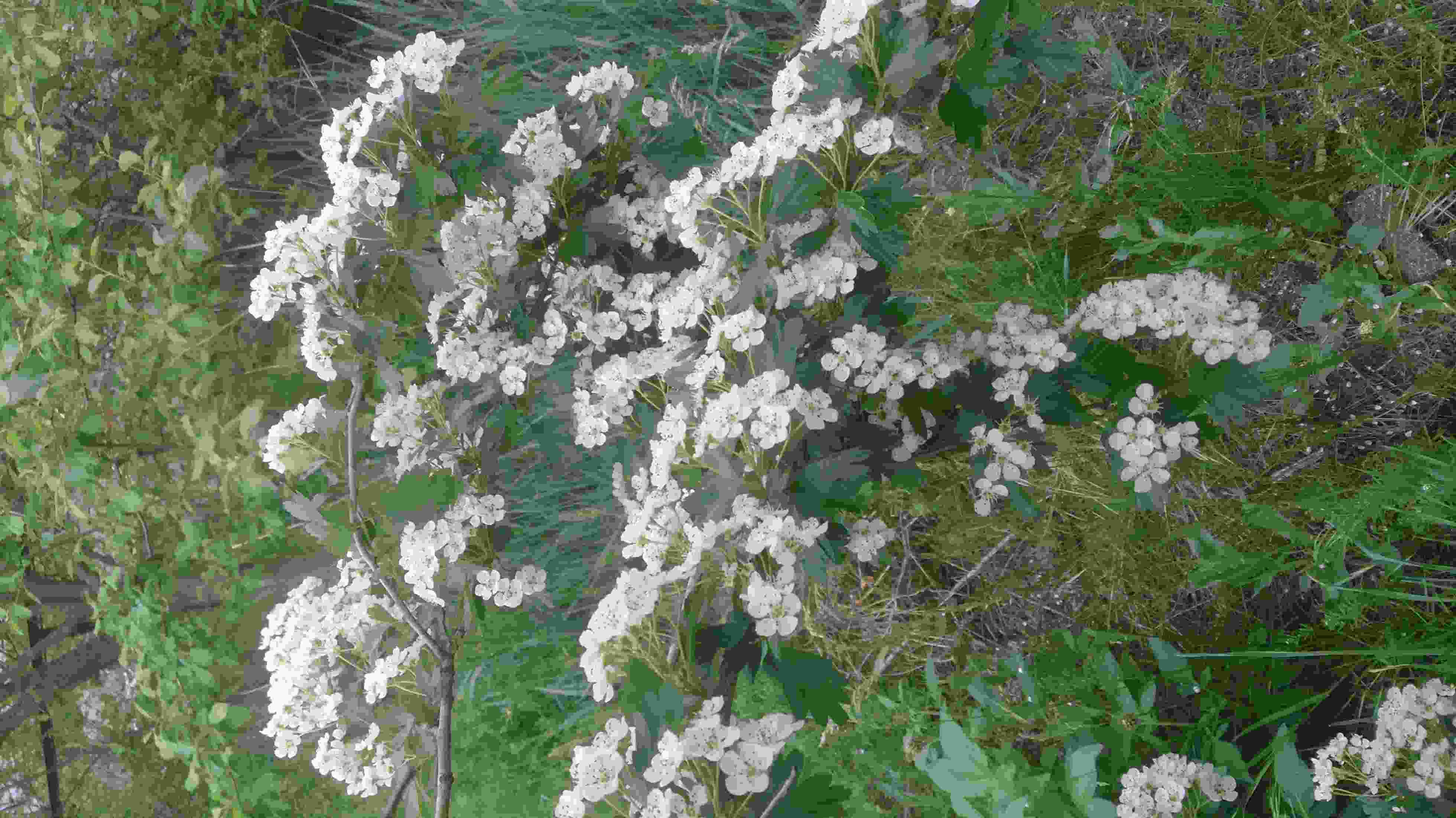 Всю жизнь рассказы о войне. Где пехота, там...