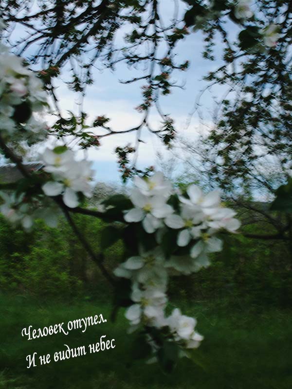 Не тая себя от всех вас,