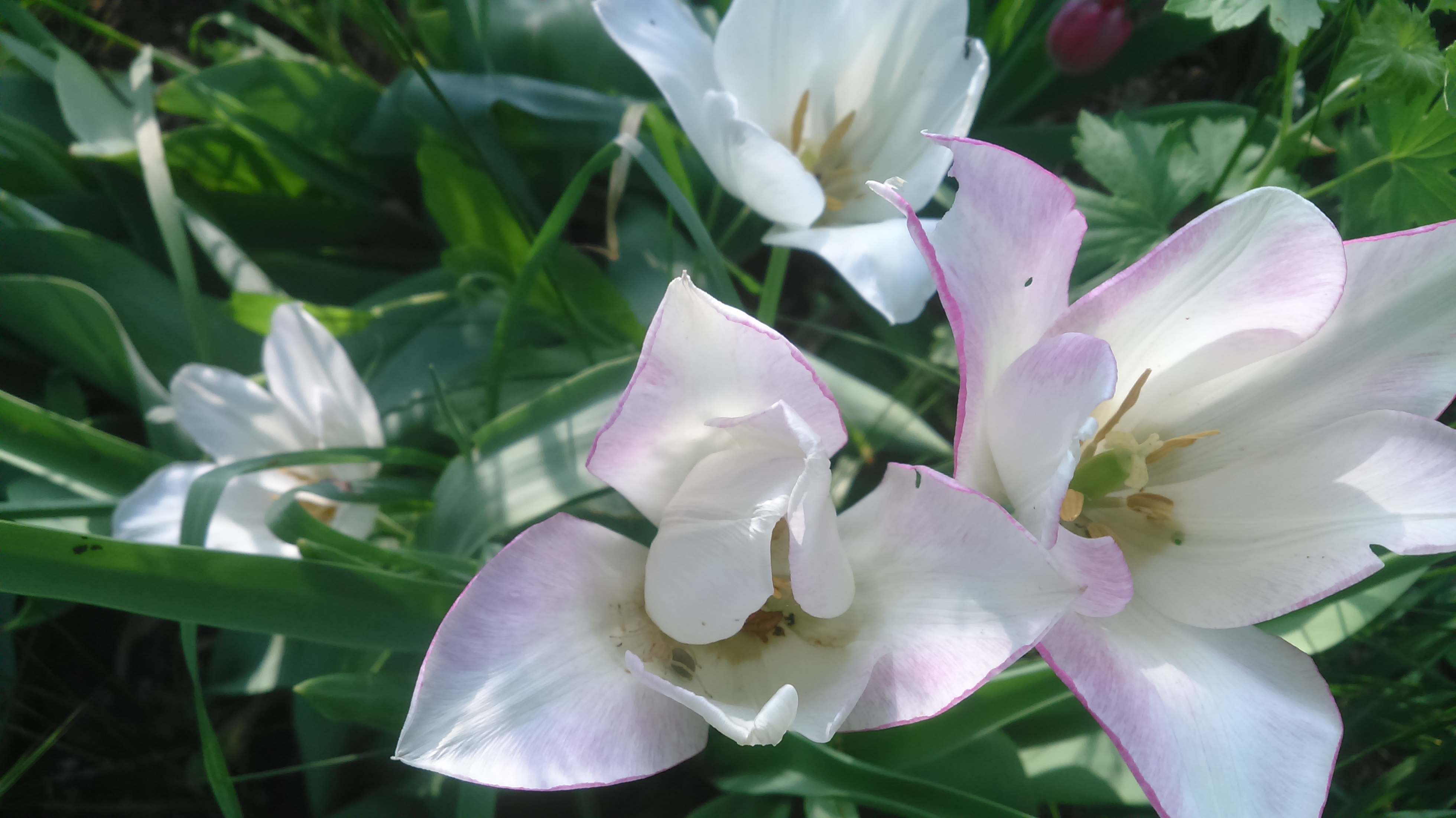 Всю жизнь рассказы о войне. Как же жить...