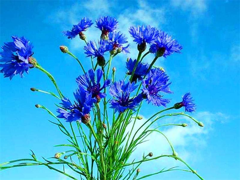 Розговор сам с собоё. Чы й з Неким ещё Королёвым?