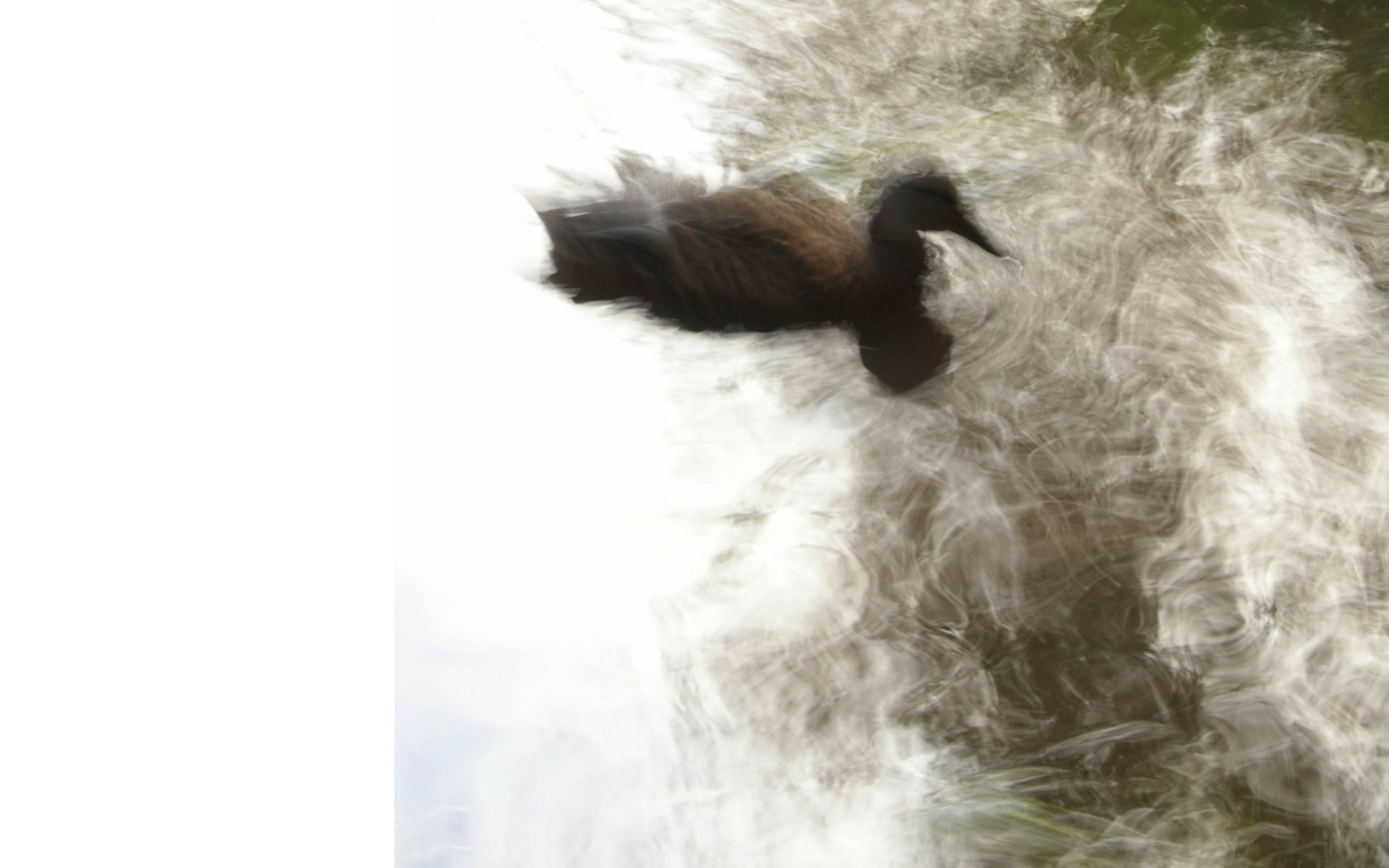 маленький злой человечек