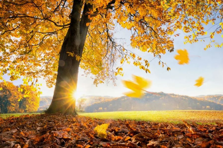 А мне уже за тридцать пять...