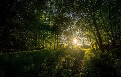 Да здравствует любовь!