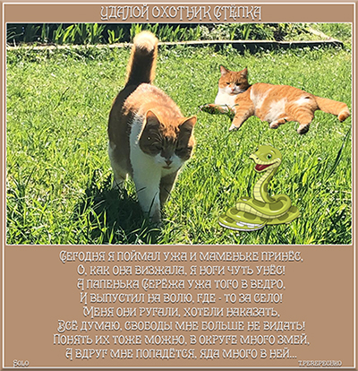 Удалой охотник Стёпка