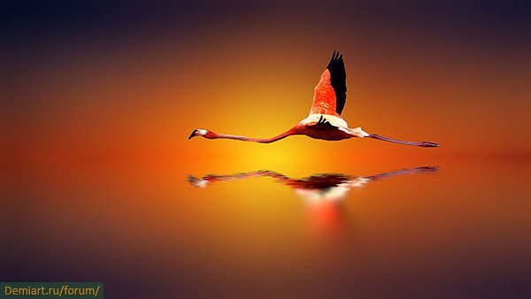 Кто твой Господь? - 14