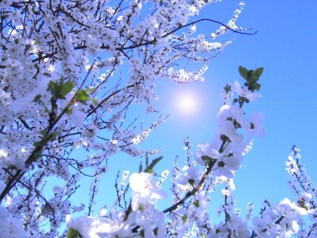 Не успела...