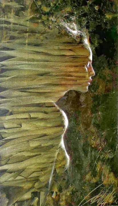 Ветрова жена