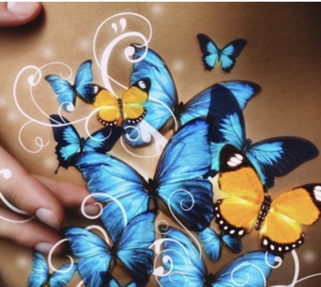 Красивые бабочки в животе