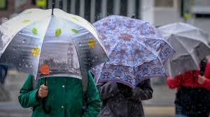 Весенний дождь