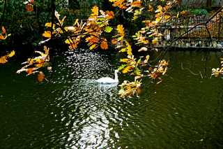 Воображение тебя рисует...