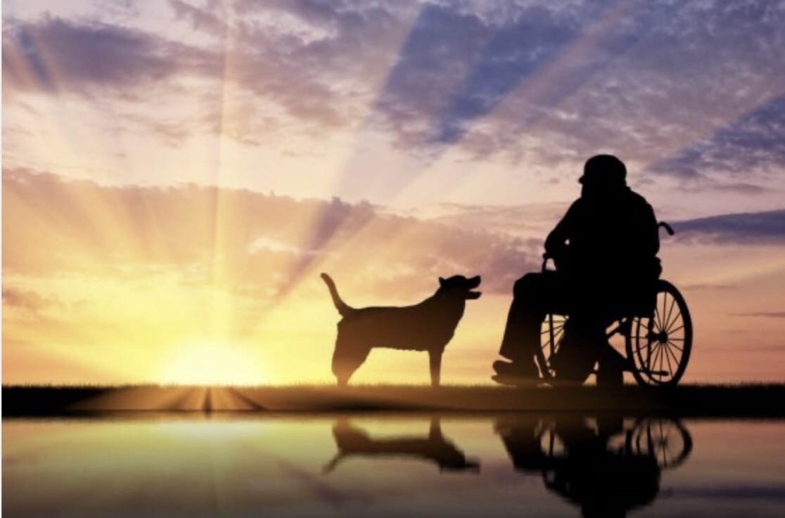 Грусть старика