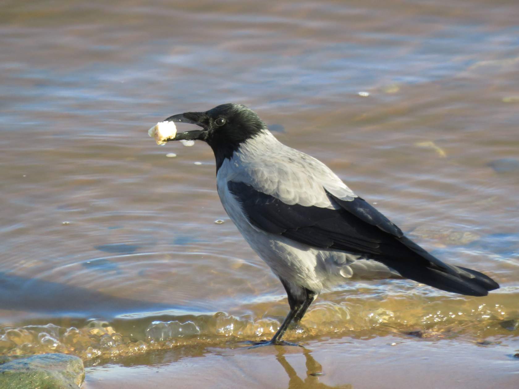88. ВОЙ НА! Нейтрализация