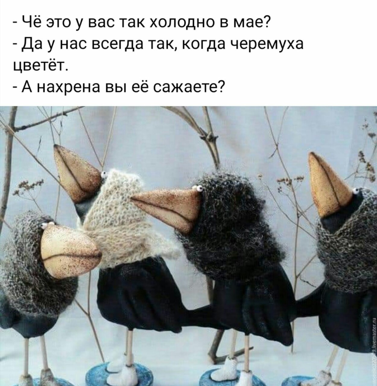 Ну и погода картинки прикольные