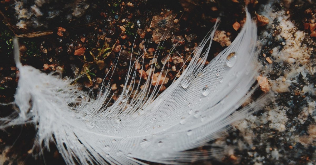 Перо надежды