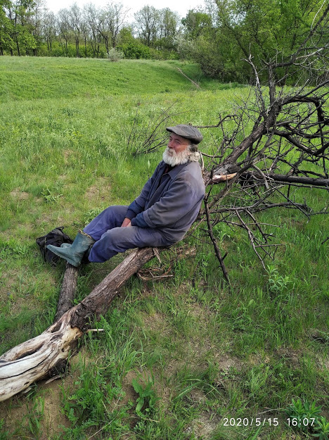 Он много лет пасет коров