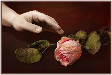 Превратности любимой работы