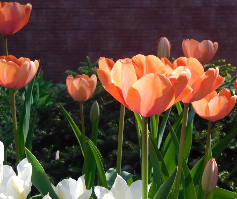 Ласковый май