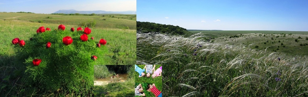 Дуванка луганская область - фото сборник