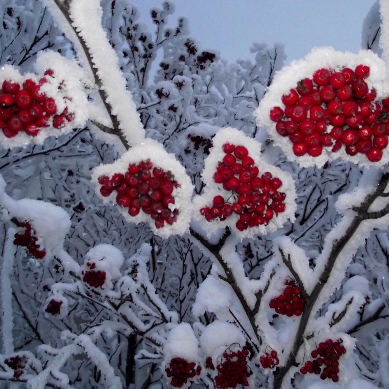 От правды взгляд не отводи