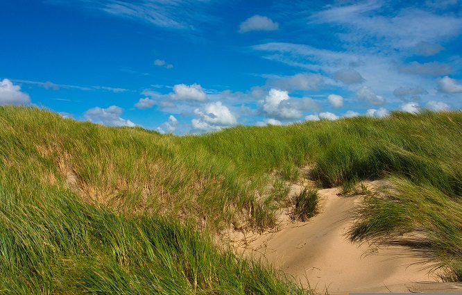 Дни. Gertrud Kolmar