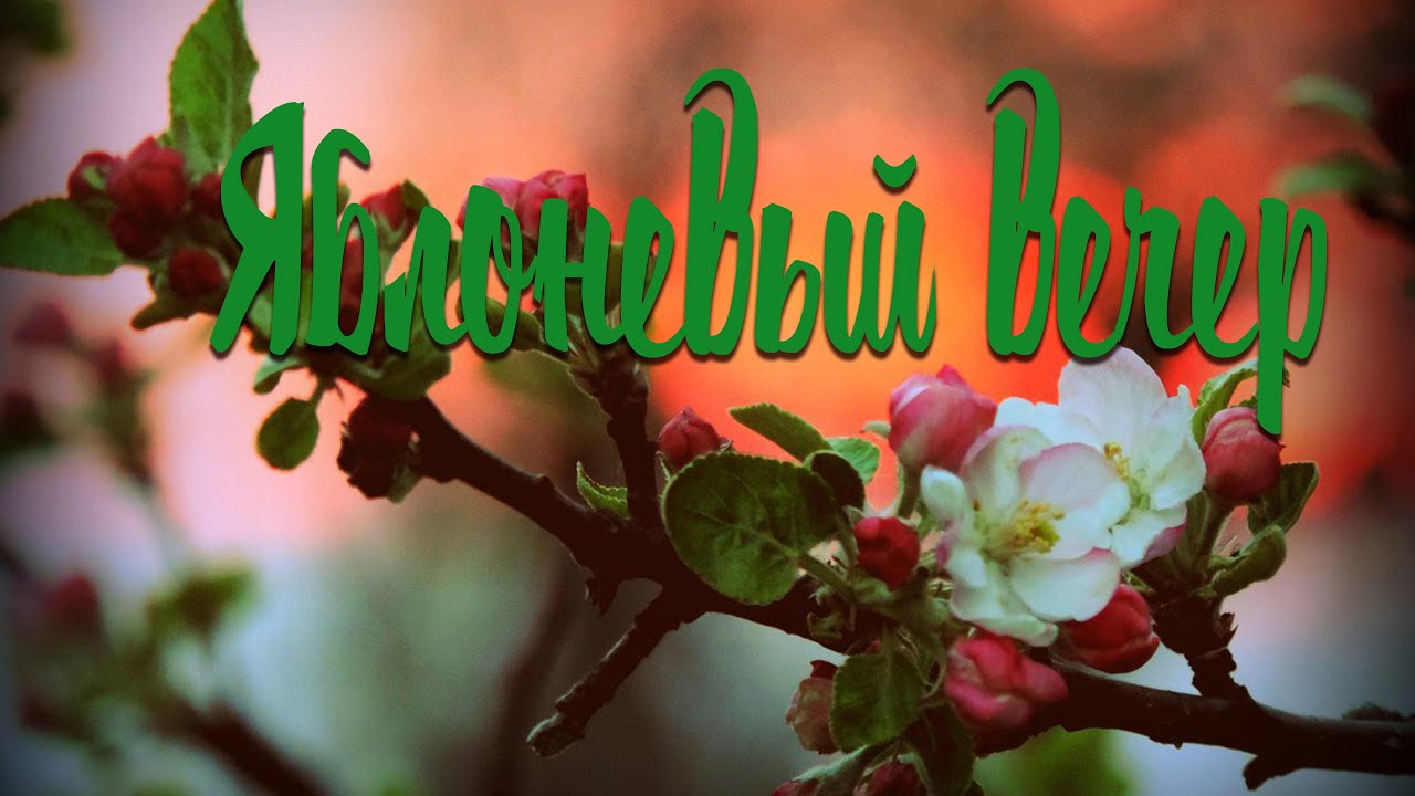 Picture background