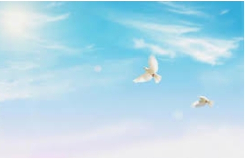 Письмо другу