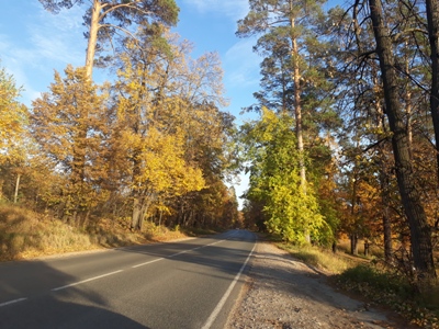 Два монолога...