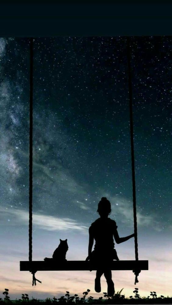 Мотор. Камера. Запись