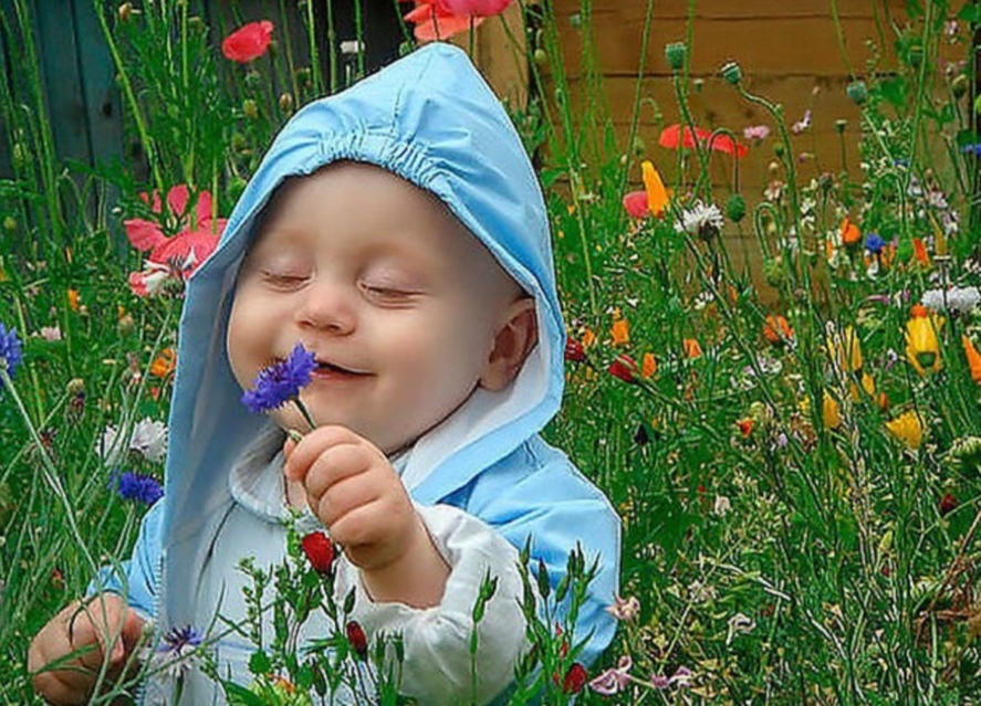 Мама, Вася и василёк