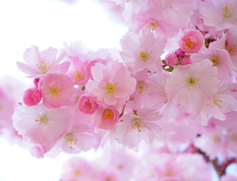 Откровение