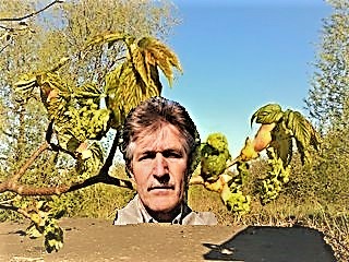 Печально мне