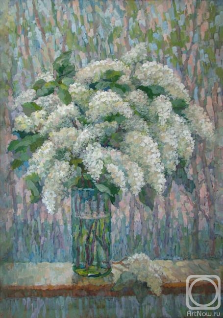 Когда черёмуха цвет белый наберёт