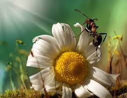 Я признаюсь тебе