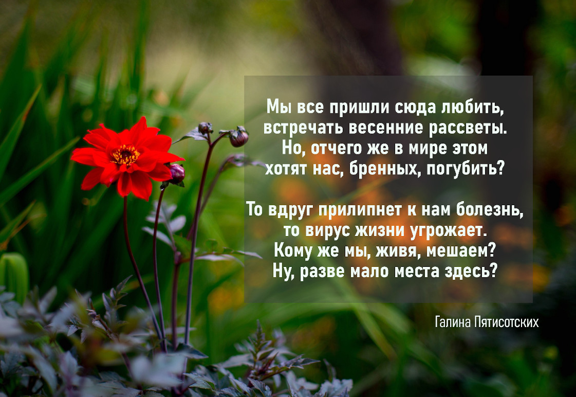 Опять мы, люди, в зоне риска