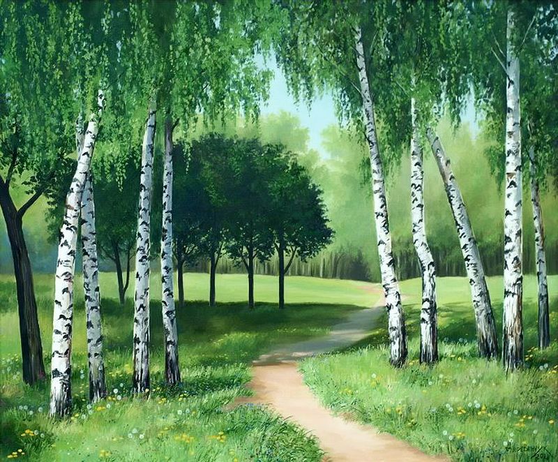 Рисунок на тему край белоствольных берез