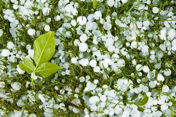 Сиреневые блики