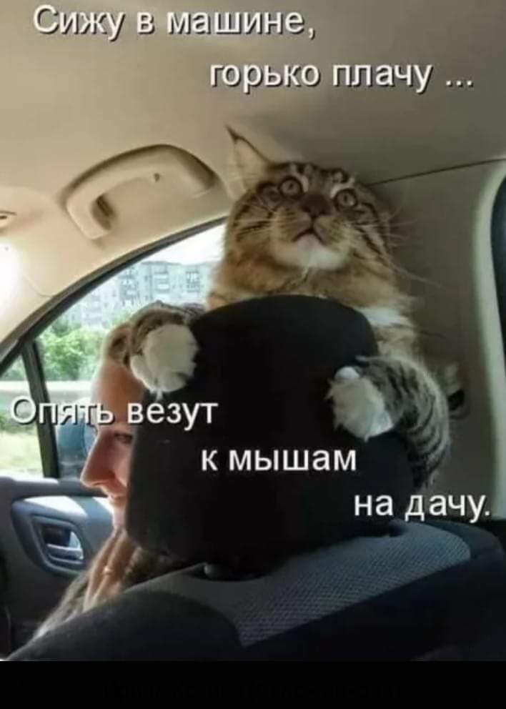 38. Олимпиец