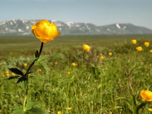 Уральский обманщик