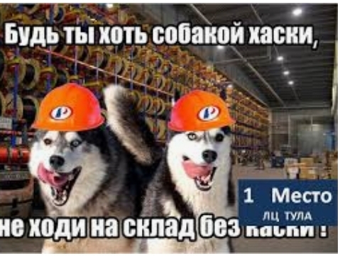 Дурдом под названием мир