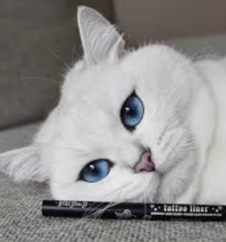 А кому какое дело