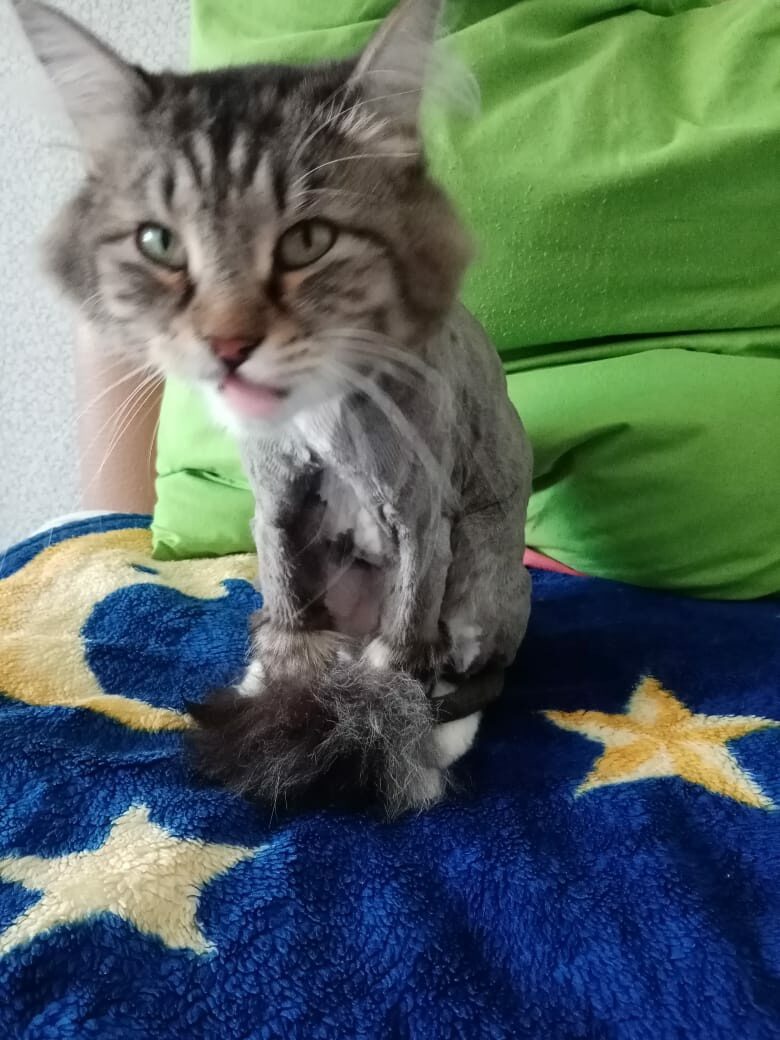 Руко. опый грумер