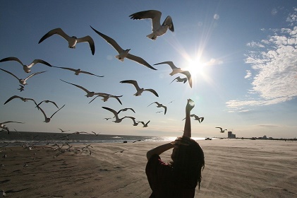 Люблю я слушать тишину