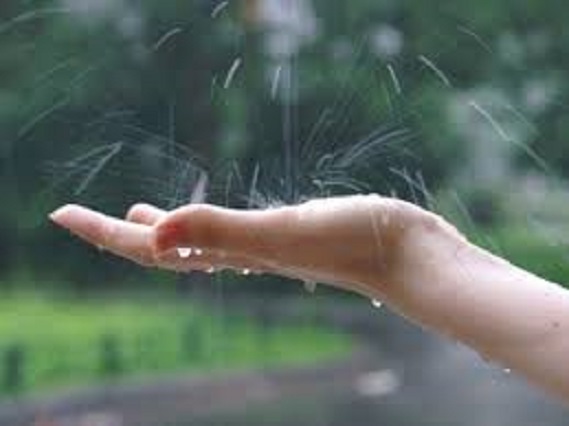 День наш солнцем занялся