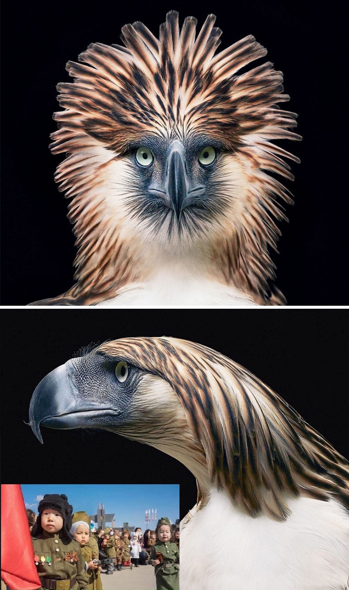 Такой странный противоречивый мир