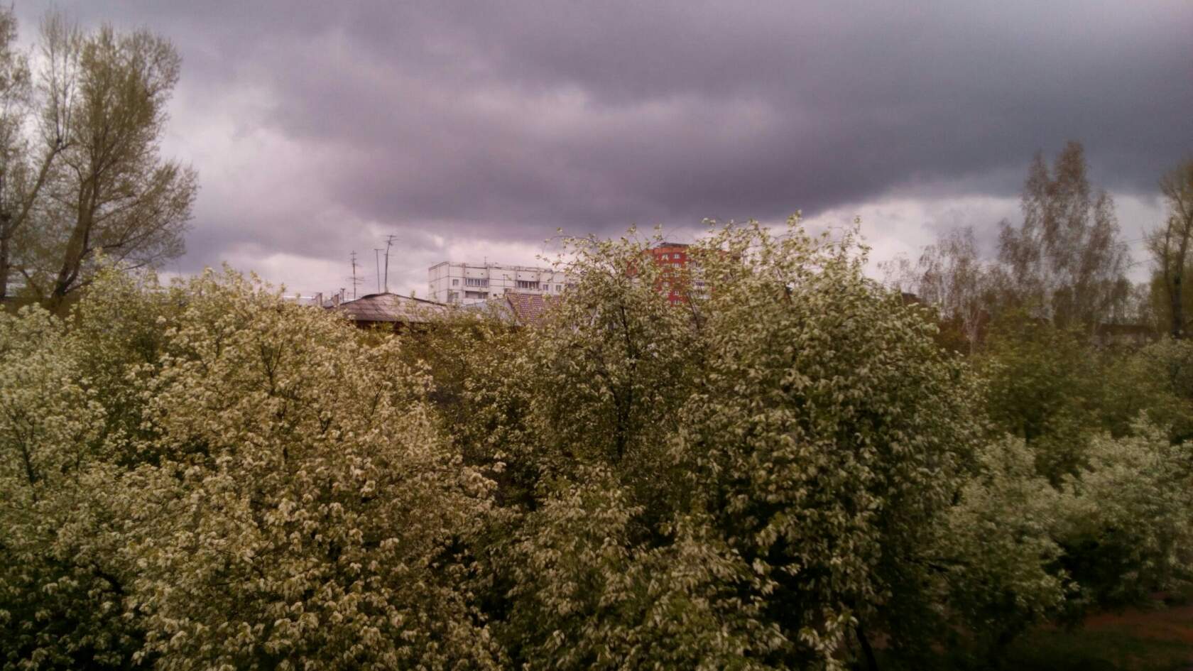 проза жизни, майское