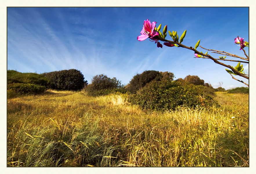 Весна прощается со мной